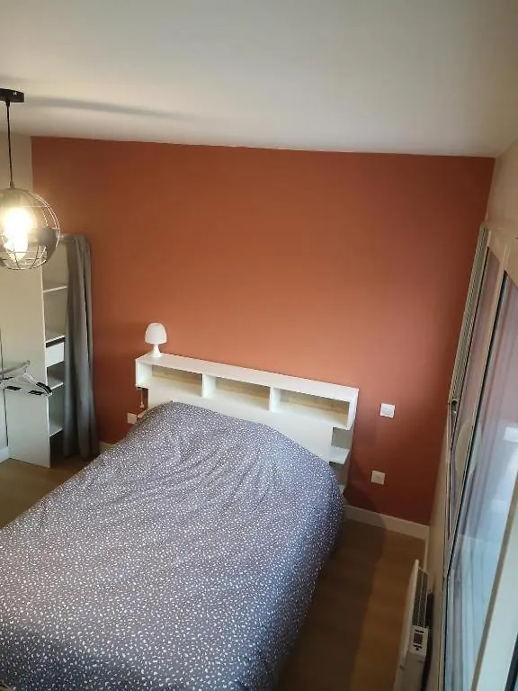 Ancely Superbe T4 Apartment Toulouse France