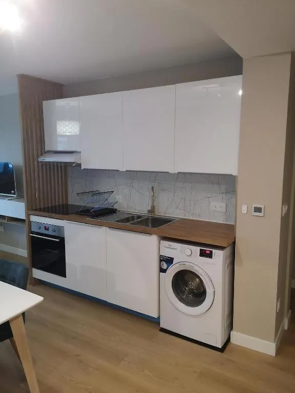 Ancely Superbe T4 Apartment Toulouse France