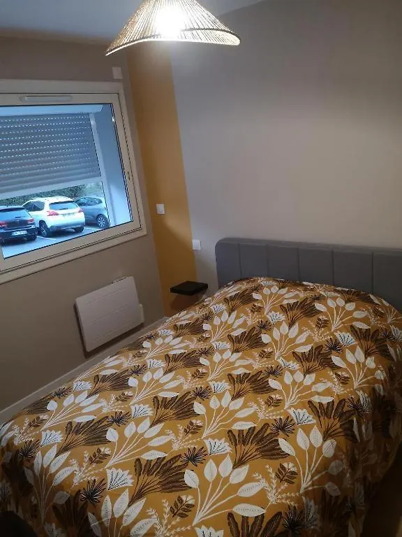 Ancely Superbe T4 Apartment Toulouse