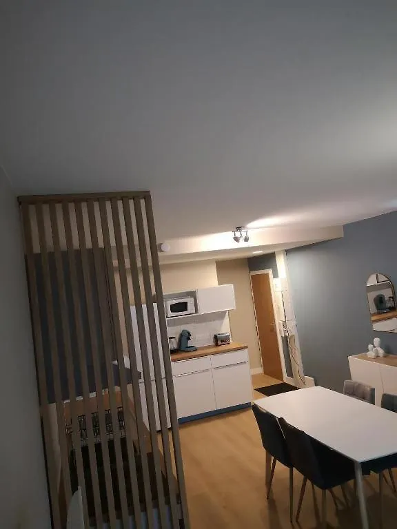 Ancely Superbe T4 Apartment Toulouse