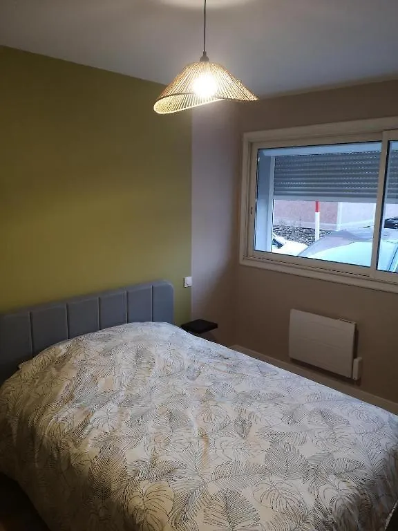 Ancely Superbe T4 Apartment Toulouse