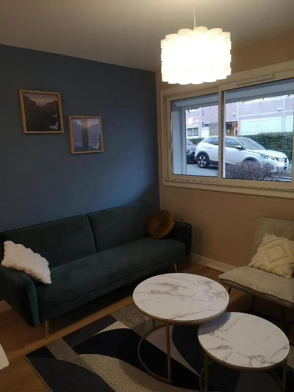Ancely Superbe T4 Apartment Toulouse